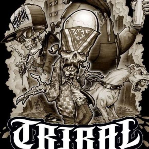 Meet your Posher, Danny - Picture 1 of 1